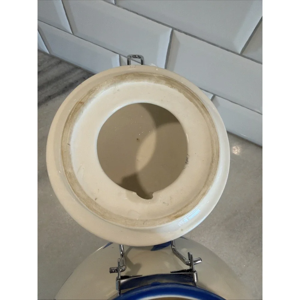 Inspirado Canister Cookie Jar White Blue Stonelite‎ Hinged Seal Lid 9.75